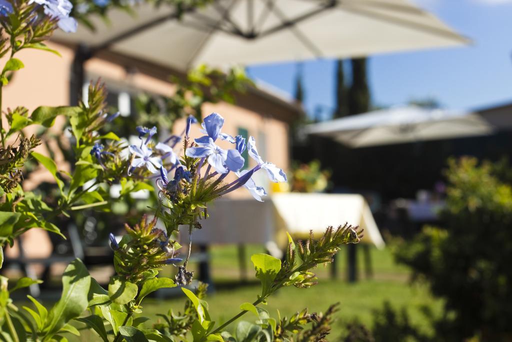 Agriturismo Ferruggini Bolgheri Eksteriør bilde