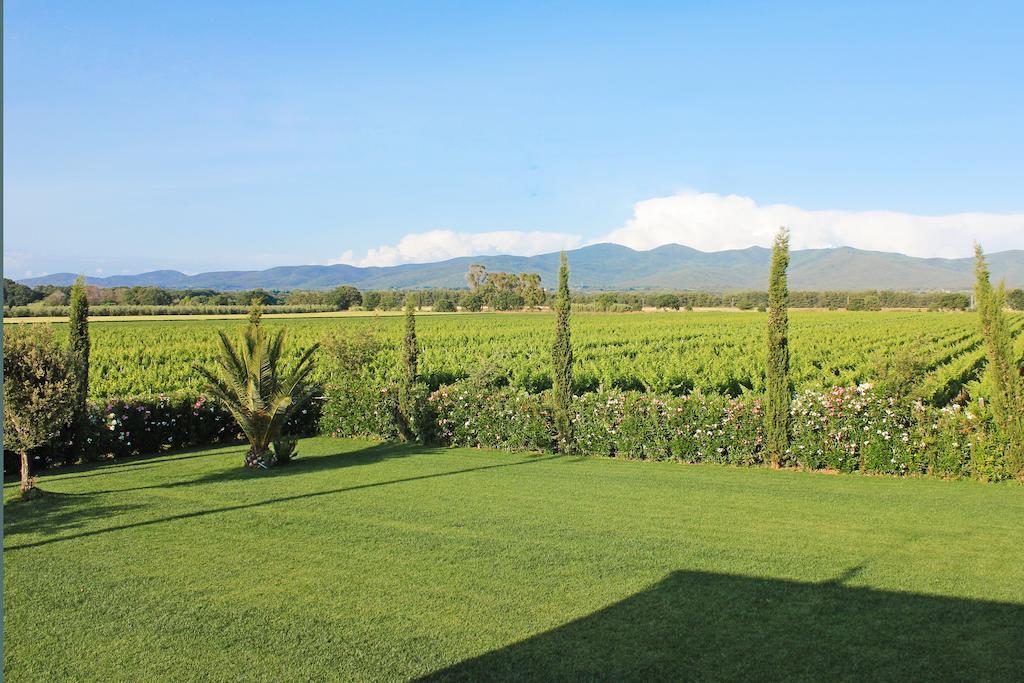 Agriturismo Ferruggini Bolgheri Eksteriør bilde