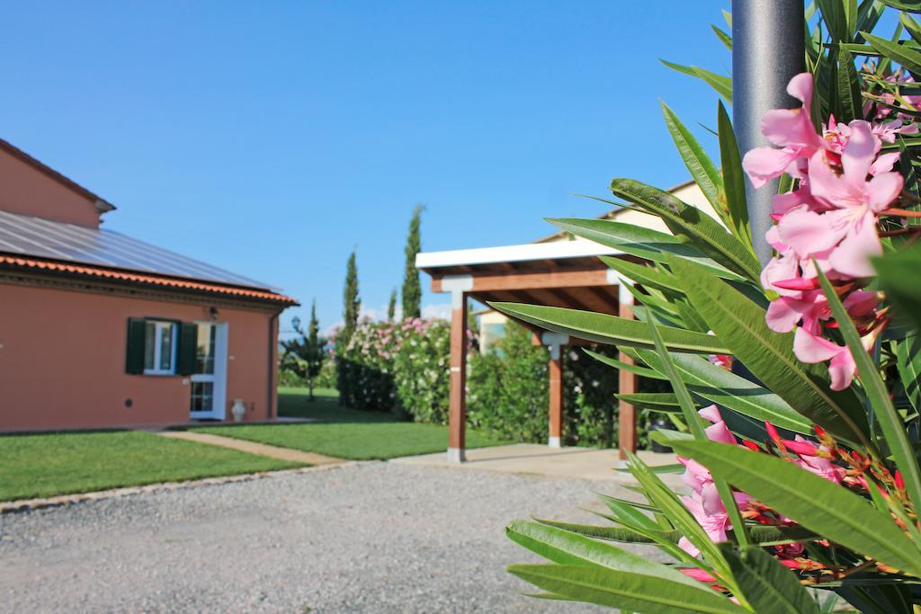 Agriturismo Ferruggini Bolgheri Eksteriør bilde